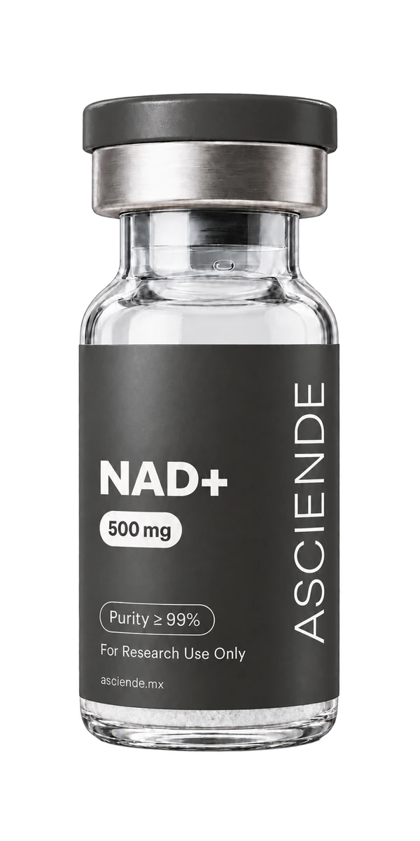 Vial Asciende NAD+, 500 mg